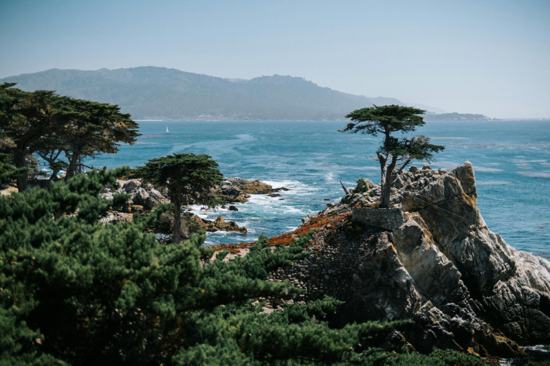Monterey